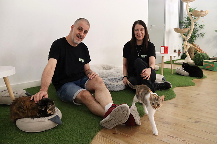 Fer un cafè envoltat de gats: Ninus Cat Cafè de Manresa compleix un any i mig havent donat en adopció 35 felins