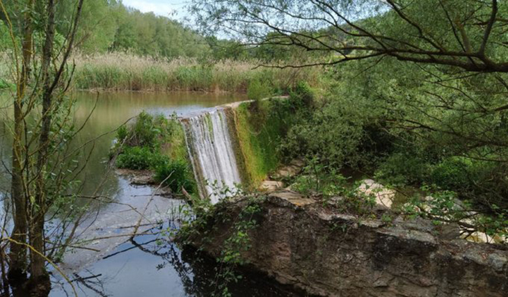 El Govern impulsa accions de restauració fluvial al Baix Llobregat, el Moianès i l’Alt Empordà