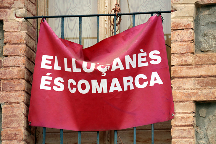 El Govern vol crear la comarca del Lluçanès abans de les eleccions municipals del 28 de maig