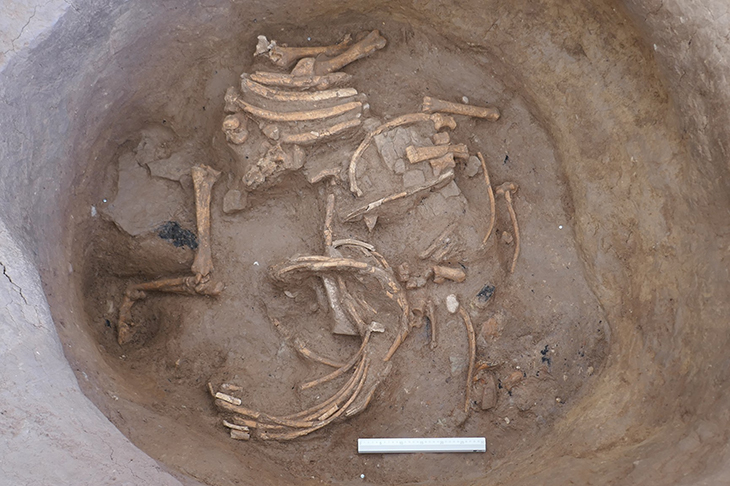 Descobreixen restes humanes i d'animals en sitges romanes al jaciment Puig Ciutat d'Oristà