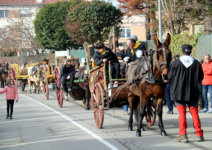 La festa dels Tonis de Taradell s'adapta al segle XXI: menys animals i més patrimoni