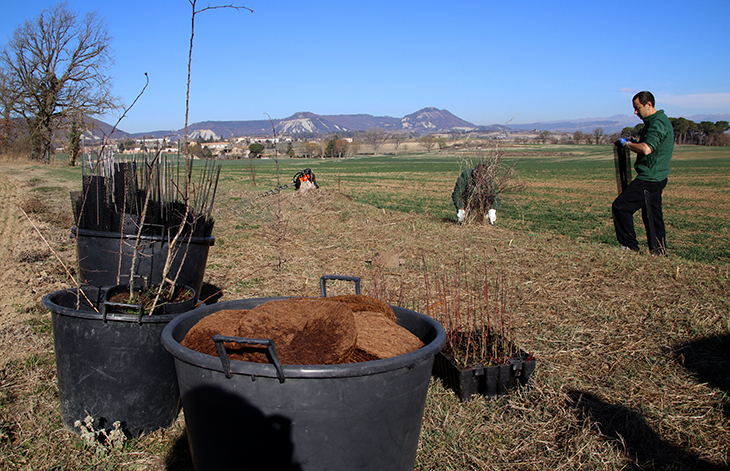 Recuperen els marges agrícoles de més de 4.000 hectàrees a la Plana de Vic per revertir la pèrdua de biodiversitat