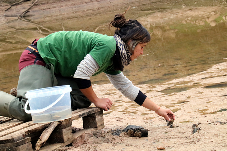 La sequera redueix "dràsticament" la població de crancs autòctons i nàiades als rius, claus per a la biodiversitat