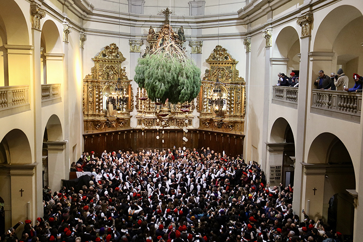 La Festa del Pi de Centelles reuneix uns 400 galejadors i 2.000 assistents