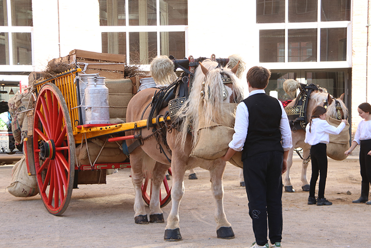 Comença la temporada dels Tres Tombs a Sant Andreu marcada per la nova guia per garantir el benestar dels animals