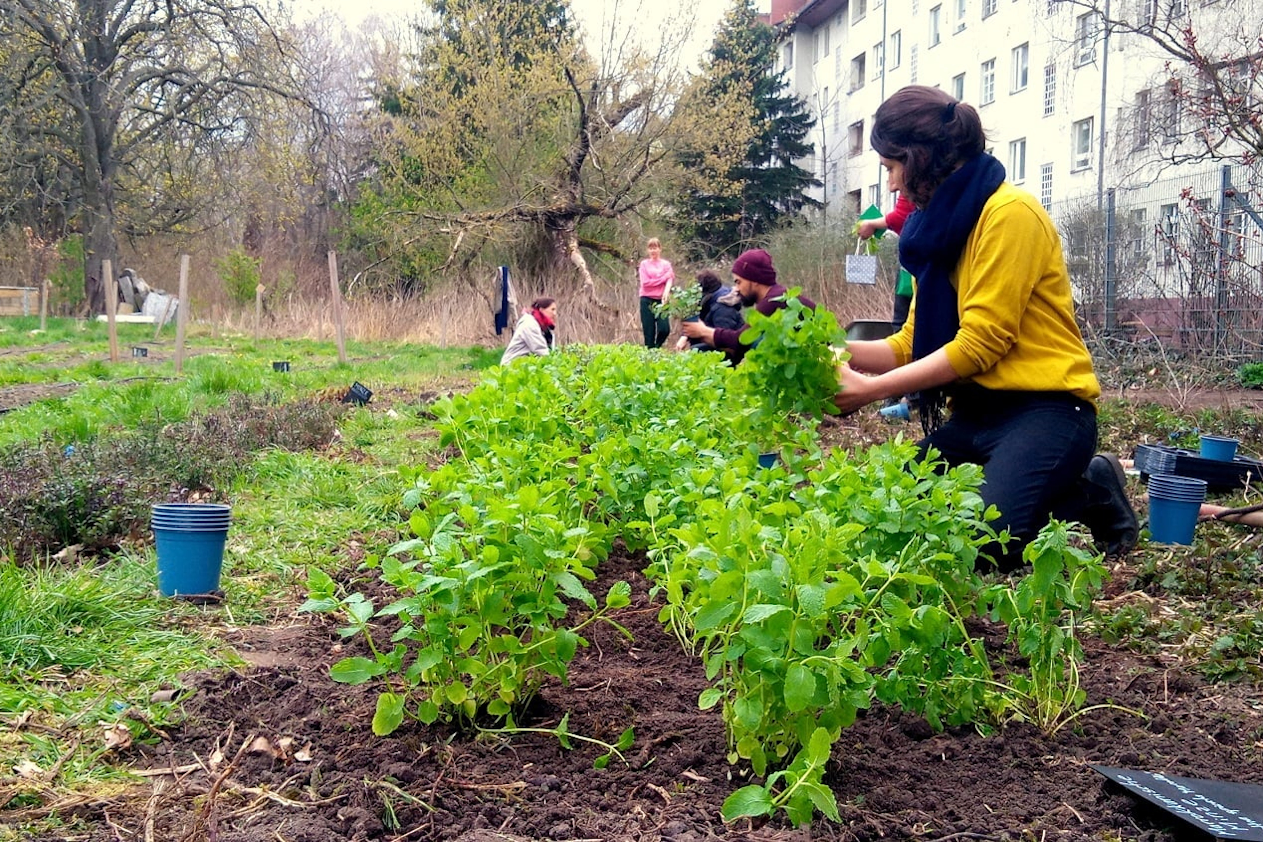 L'ICRA i la UdG creen una plataforma digital per promoure l'agricultura urbana en ciutats