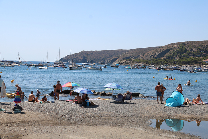 Un senglar ataca una nena de 10 anys i la fereix a la cama a la platja Gran de Cadaqués