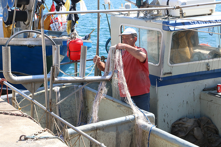 La flota d'encerclament de la Costa Brava torna a pescar després de la veda biològica de dos mesos