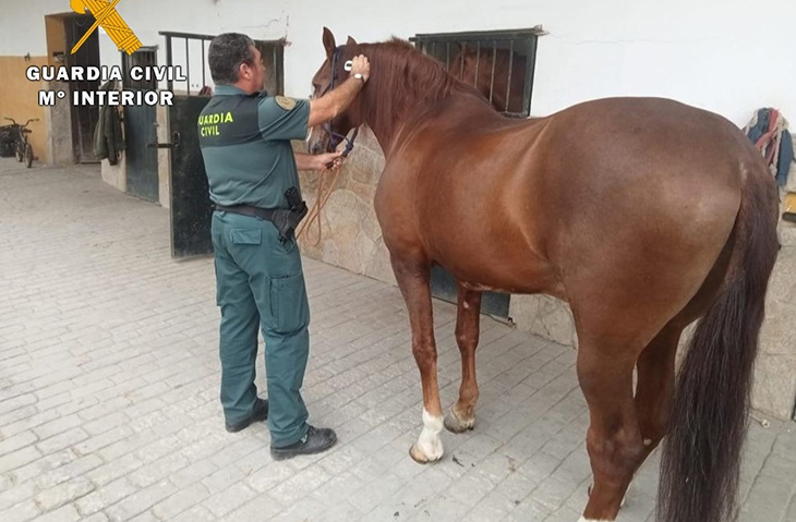 La Guàrdia Civil investiga un dipositari judicial per apropiació indeguda i estafa en la venda il·legal de 14 cavalls