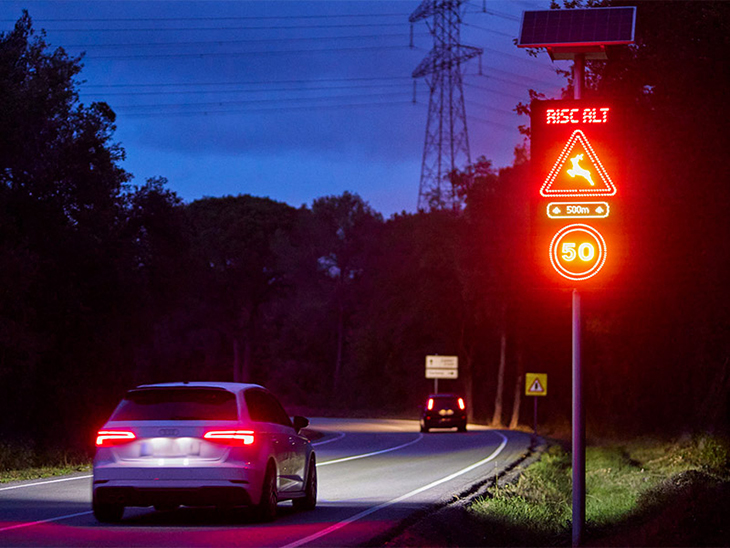 La Diputació instal·la senyals lluminosos a tres carreteres gironines per prevenir accidents amb fauna salvatge
