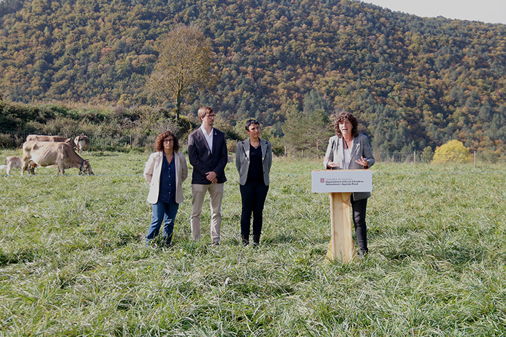Acció Climàtica contractarà ramats per fer prevenció d'incendis en les zones de major risc i afavorir la biodiversitat