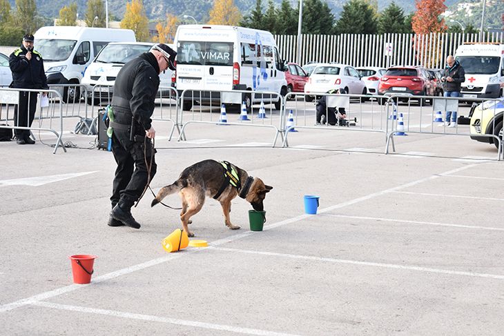 La Policia Local de Sant Feliu de Guíxols incorpora un dron i una unitat canina