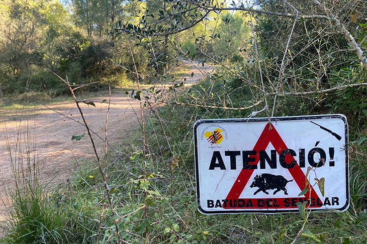 Unes 150 colles de caça reprenen les batudes del senglar a Girona després de l'acord amb el Govern