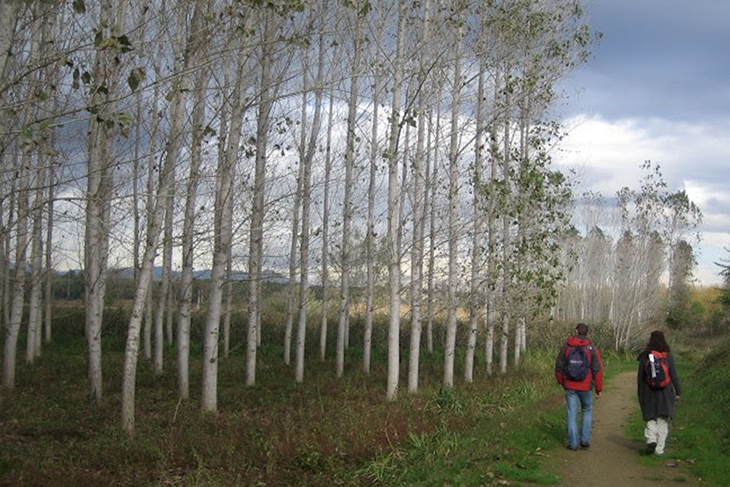 El Consell Comarcal de la Selva rebrà 2,8 MEUR dels fons europeus Next Generation