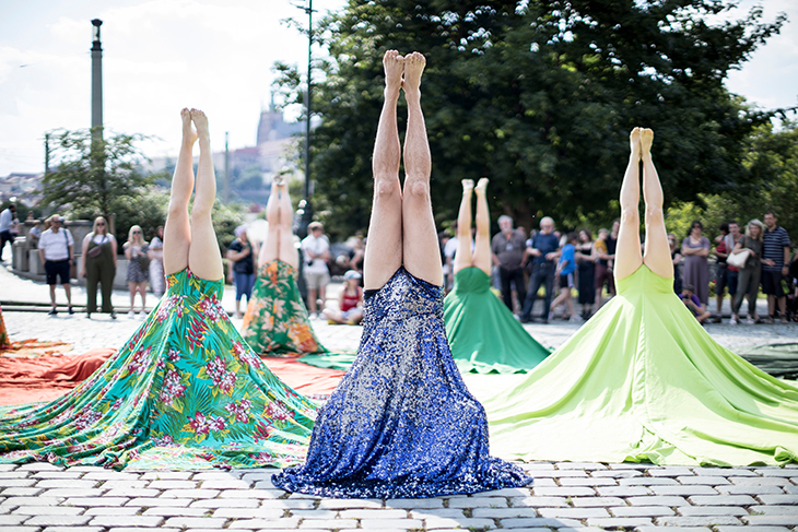 El Sismògraf d'Olot planteja un espectacle de dansa participatiu sobre la desforestació a l'Amazones