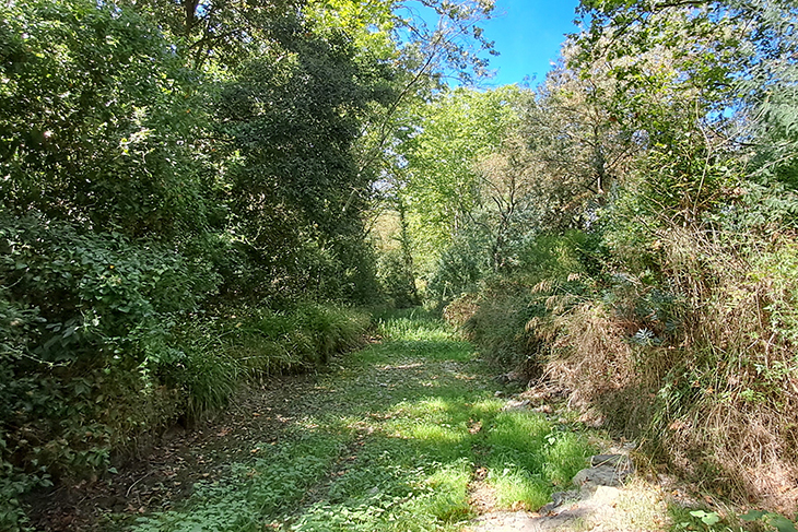 L'ACA licita la redacció del projecte per impulsar una millora ecològica de les rieres de Calonge i els Molins