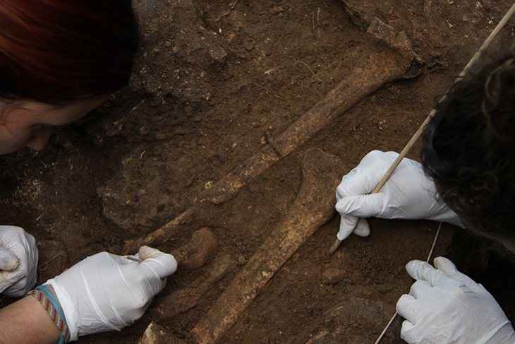 Descobreixen que Serinyà va ser un refugi climàtic per a les poblacions del paleolític abans de l'última glaciació