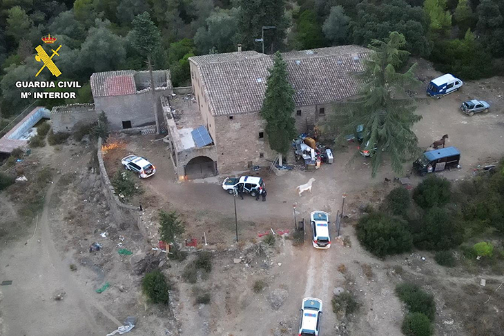 Detingut un home de 84 anys per tenir un cultiu exterior de marihuana amb 1.536 plantes en una zona boscosa de Cistella