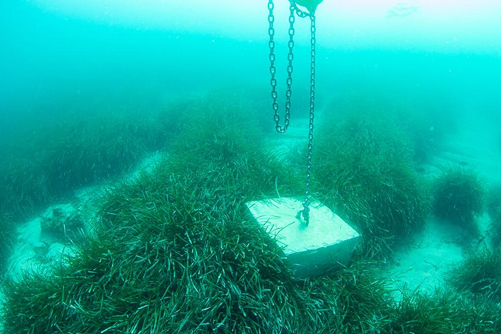 SOS Costa Brava denuncia