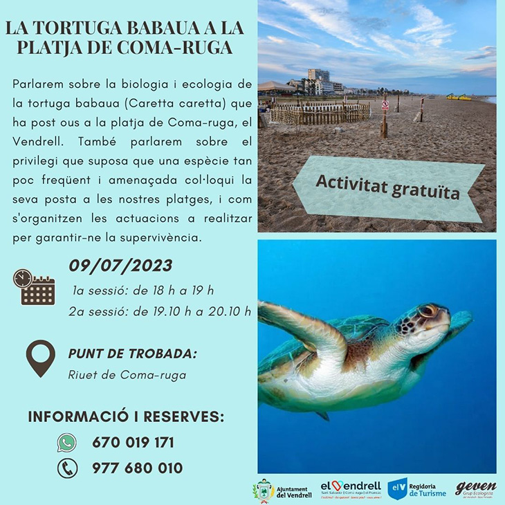 Presentada l'activitat per parlar sobre la biologia i l'ecologia de la tortuga babaua al Vendrell