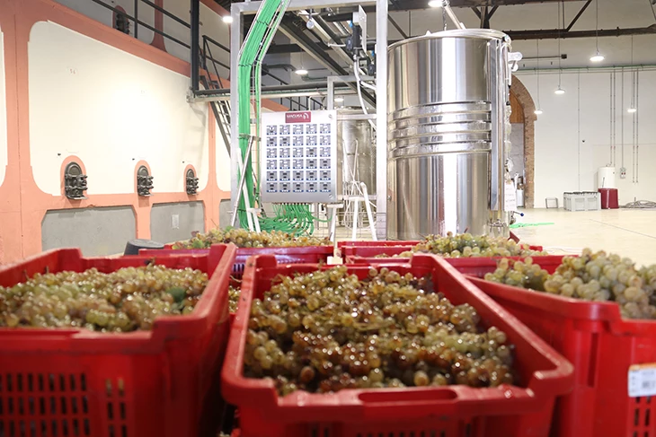 El viver de cellers de l’Alt Penedès celebra el primer aniversari amb el propòsit d’ampliar la producció