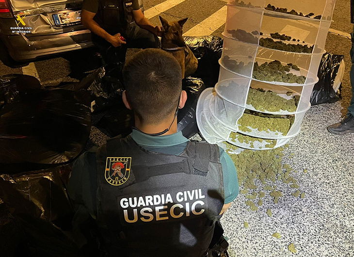 Troben 22 quilos de marihuana dins d'un cotxe en un control en una de les sortides de l'AP-7 del Vendrell