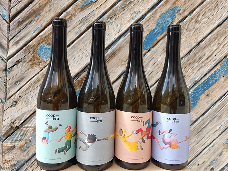 Joves extutelats treuen al mercat vins procedents de vinyes en perill de desaparició