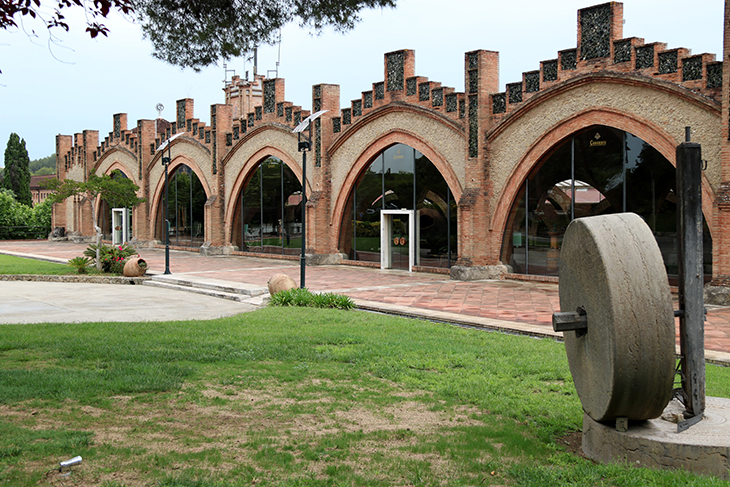 Codorniu manté el 'plus climàtic' i pagarà el raïm a 0,80 euros el quilo de mitjana