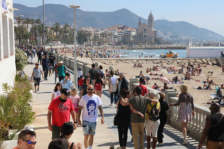 Un tauró i dues tintoreres obliguen a tancar platges