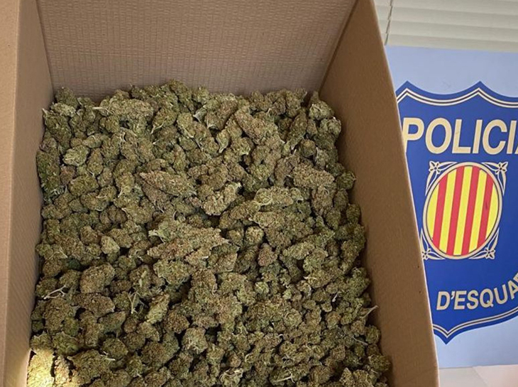 Desarticulen al Vendrell un grup criminal dedicat al cultiu interior de marihuana