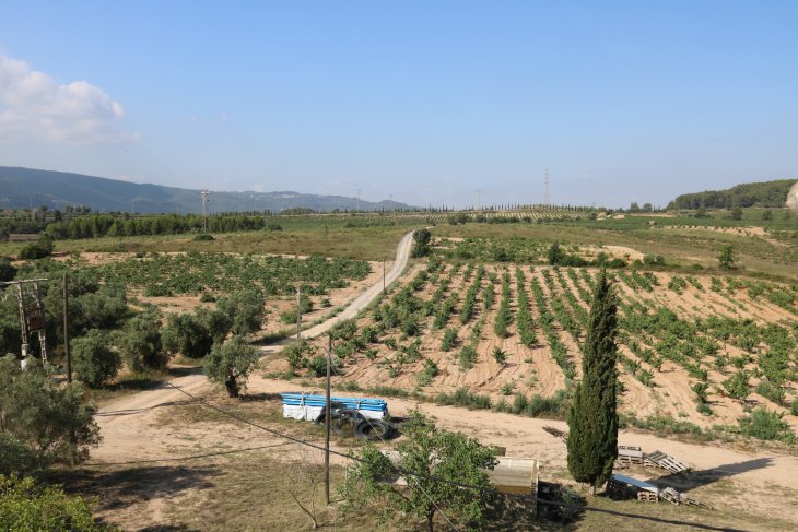 Gelida aprova dos dels últims tràmits urbanístics per a la construcció de l’Agroparc d’Ametller Origen