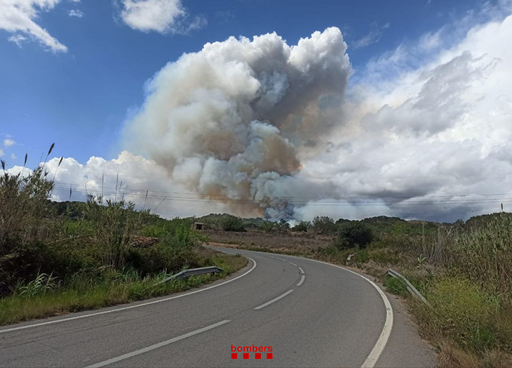 Pugen a 57 les dotacions de Bombers que treballen en un incendi forestal declarat a Bonastre