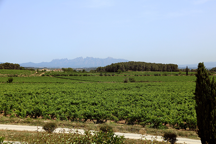 ruta penedes