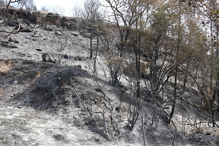 incendis de Baldomar i Castellar de la Ribera