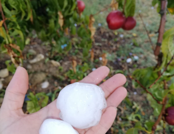 Una pedregada malmet cultius de fruita dolça a la zona nord-oest del Segrià
