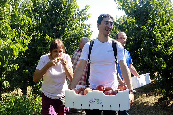 visites guiades als camps d'Aitona