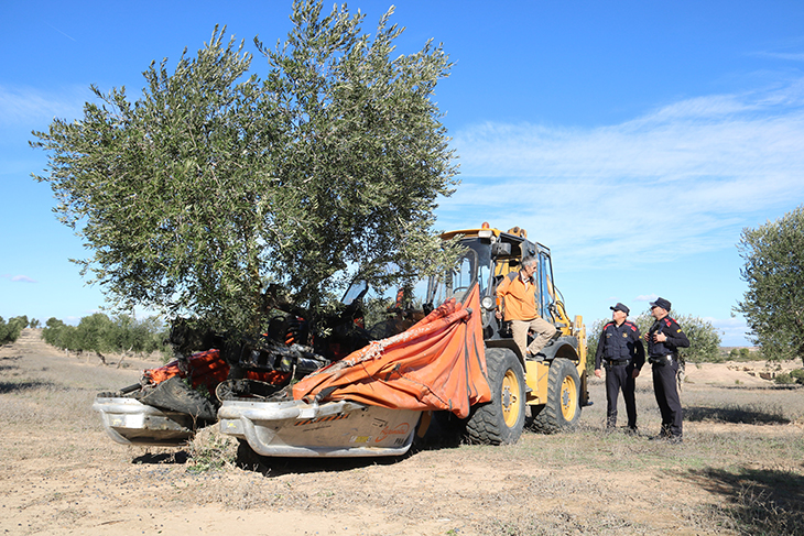 Els Mossos reforcen les tasques de prevenció de robatoris en cooperatives d'oli davant l'augment de preu del producte