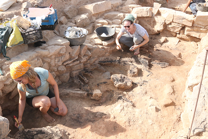 Documenten les restes d'una estança pertanyent a una torre de la primera edat del ferro al jaciment de Gebut a Soses
