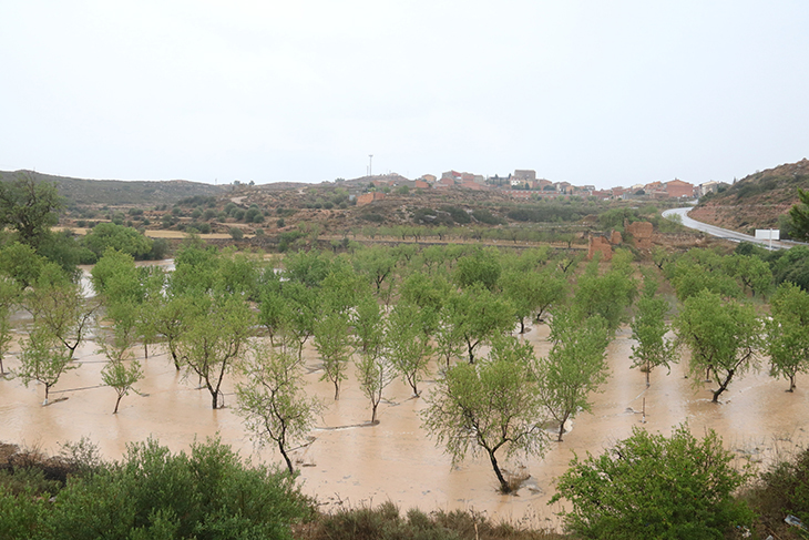 Els forts xàfecs neguen camps de fruiters, oliveres i ametllers al Segrià i les Garrigues