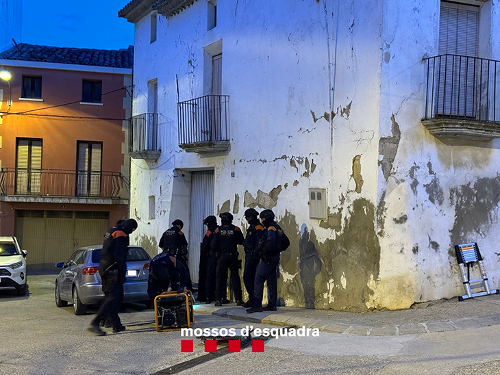 Detenen 4 persones i confisquen prop de 700 plantes en un operatiu contra el cultiu de marihuana a Ponent