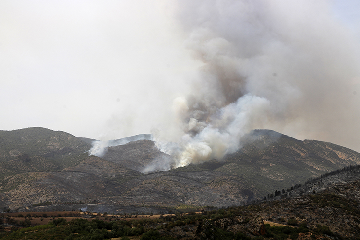 El foc d'Artesa de Segre