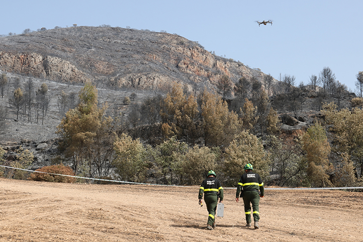 causes de l'incendi de Baldomar