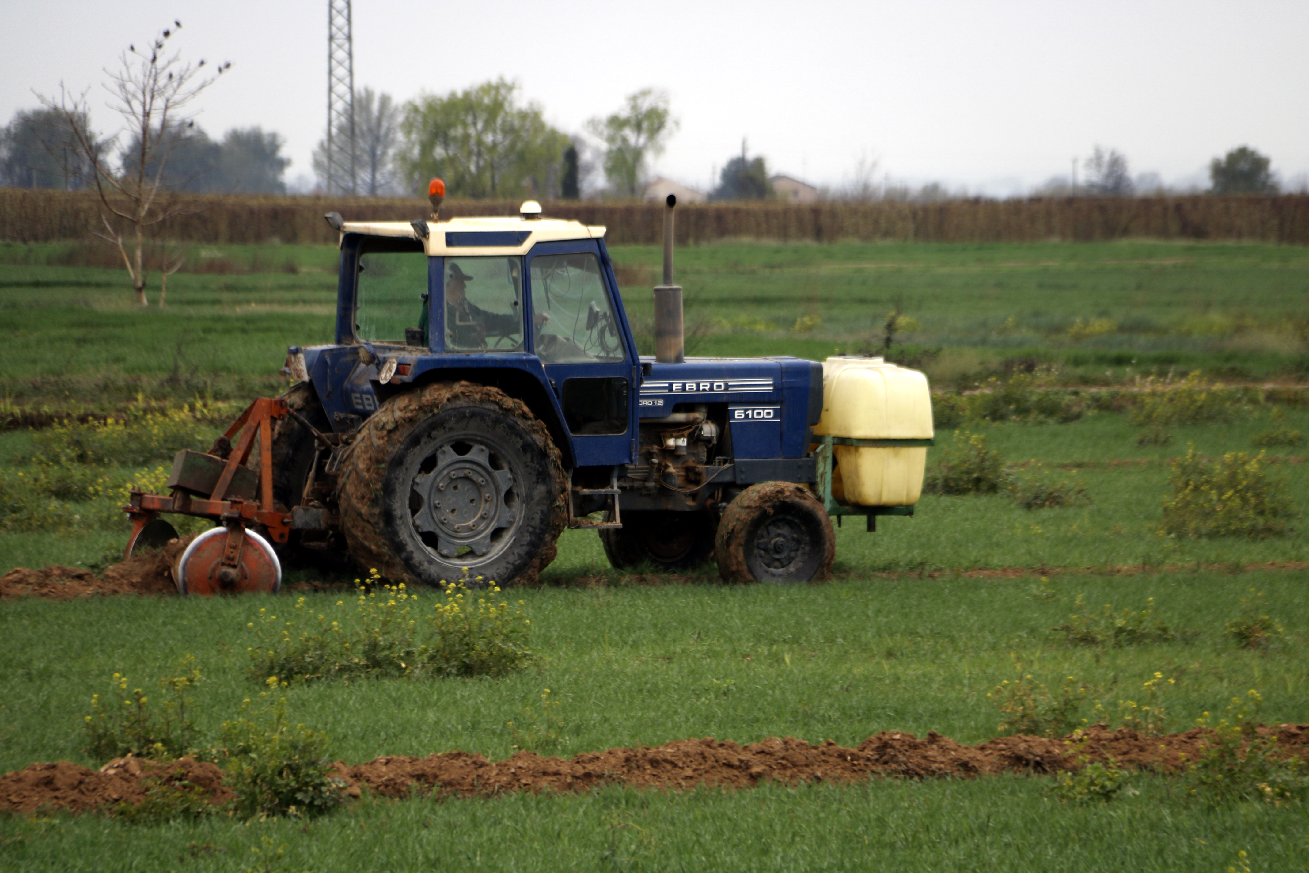 La FCAC denuncia que els productors de cereal i farratge del canal d'Urgell encara no han rebut cap ajut per la sequera