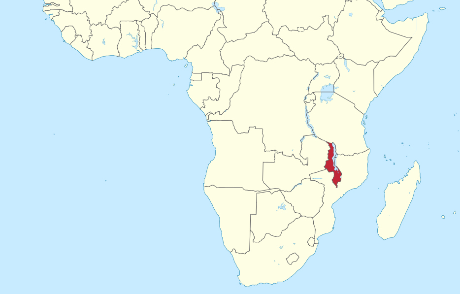 Mor una cooperant lleidatana de 22 anys en un accident de cotxe a Malawi, on estava fent un voluntariat