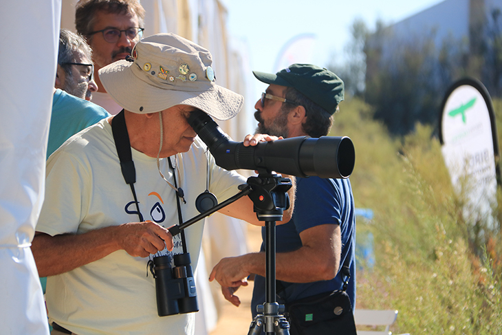 El Delta Birding Festival atreu més de 4.000 persones en una edició de rècord centrada en experts, joves i famílies