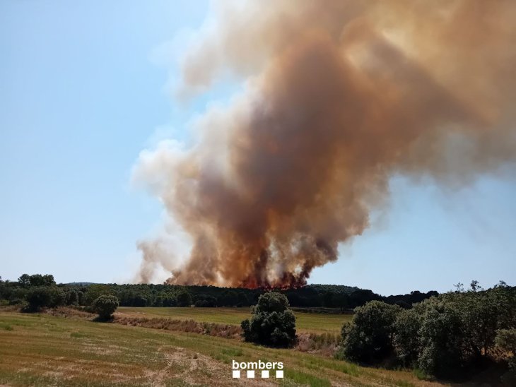 Estabilitzat l'incendi forestal d'Artesa de Segre, que ha afectat unes 68 hectàrees