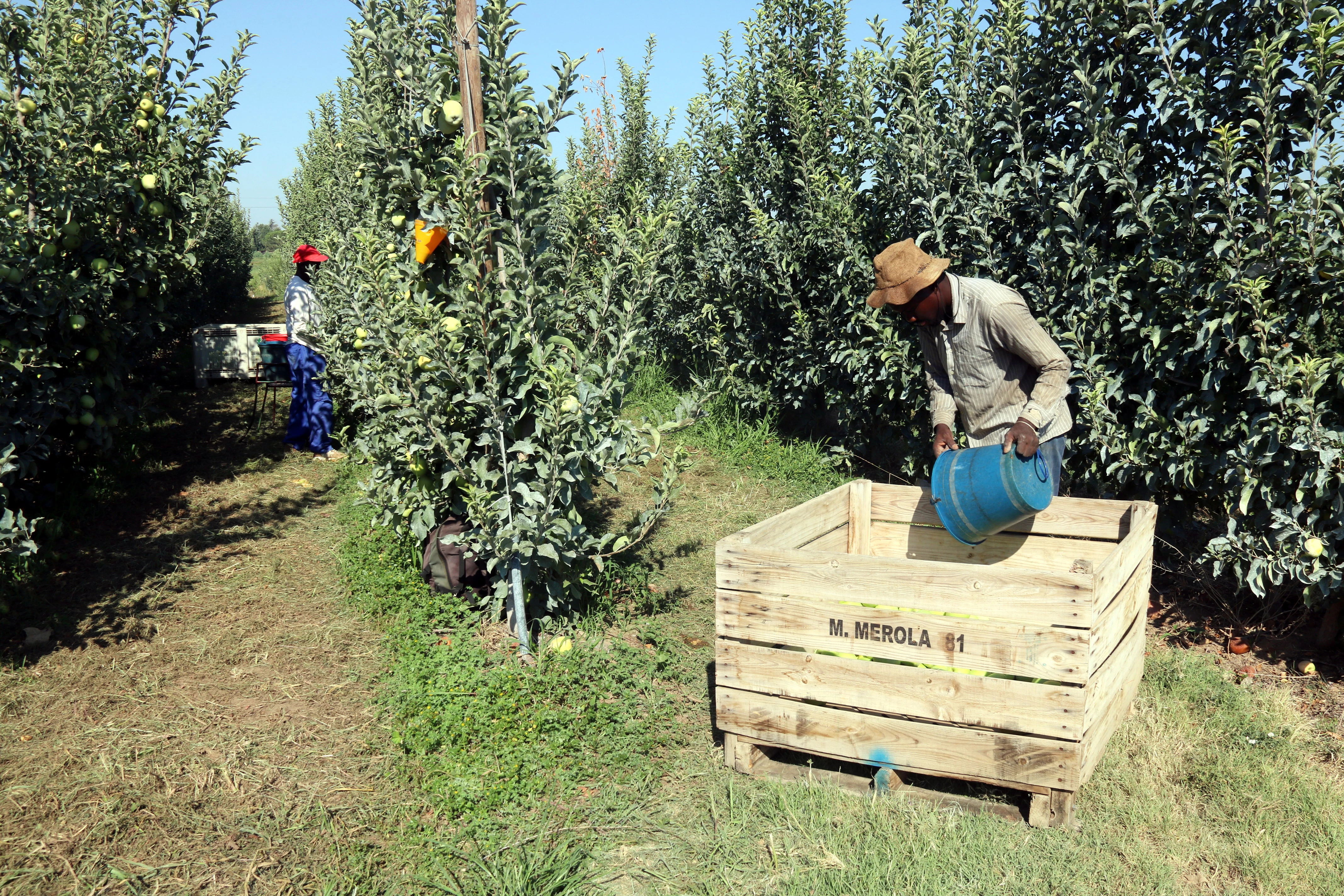 Les exportacions de Ponent i l'Alt Pirineu i Aran creixen un 0,8% al 2023 i arriben als 2.925 MEUR