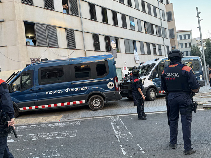 Els Mossos desmantellen un cultiu amb plantes de marihuana de més de tres metres i mig a Vilanova de la Barca
