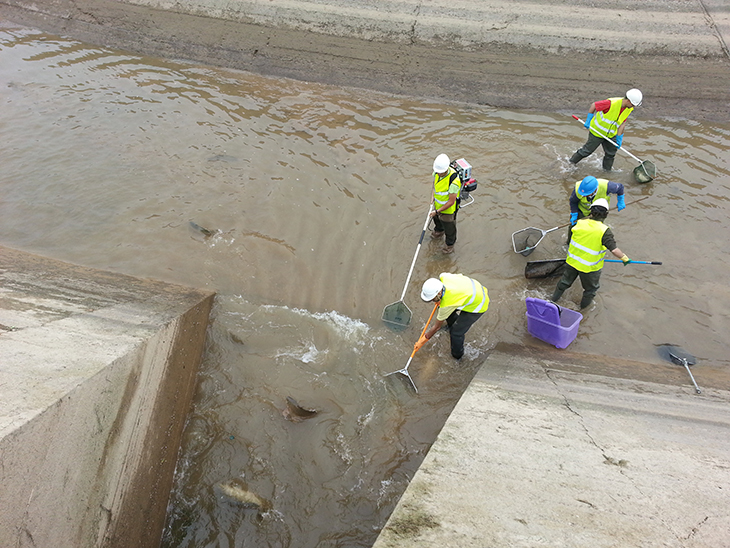 Endesa inicia dilluns el buidatge periòdic dels canals de Seròs, Balaguer, Térmens i Lleida per fer treballs de millora