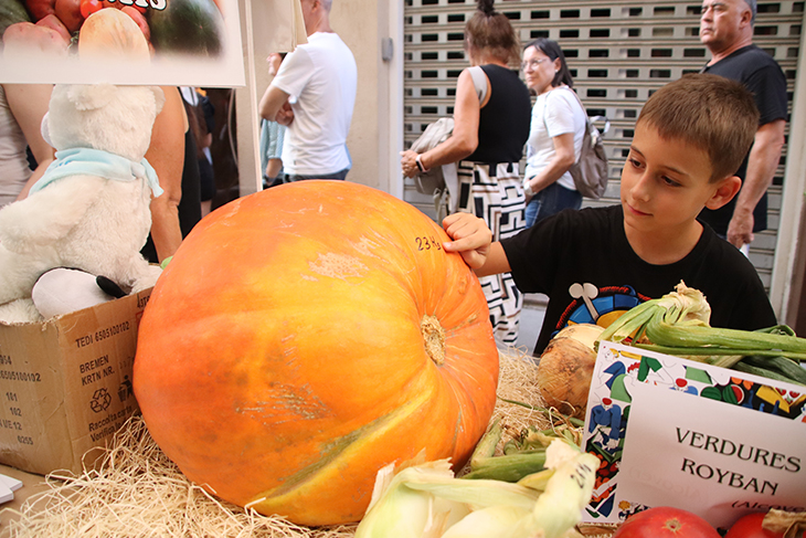 La Firagost de Valls estrena un mercat de vins i caves de l'Alt Camp per promocionar els productes de proximitat